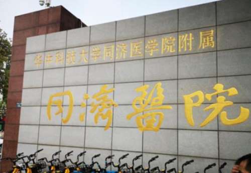 武汉同济.jpg