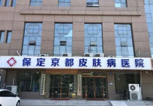 保定京都皮.jpg 保定京都皮.jpg