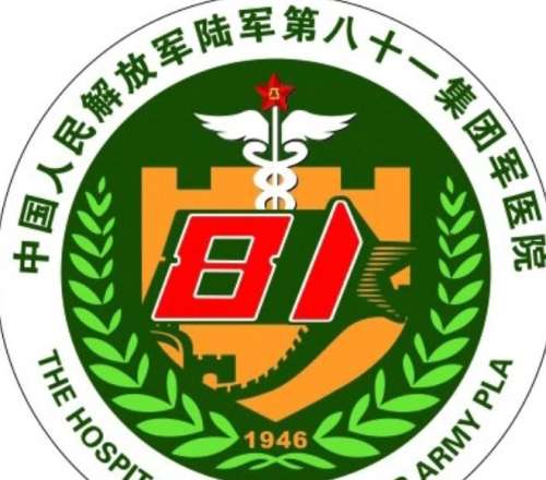 陆军第81集团军医院lo.jpg