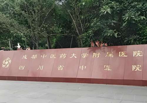 成都中医药大学附属医院.jpg