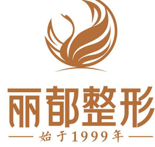 太原丽都医疗美容医院lo.jpg