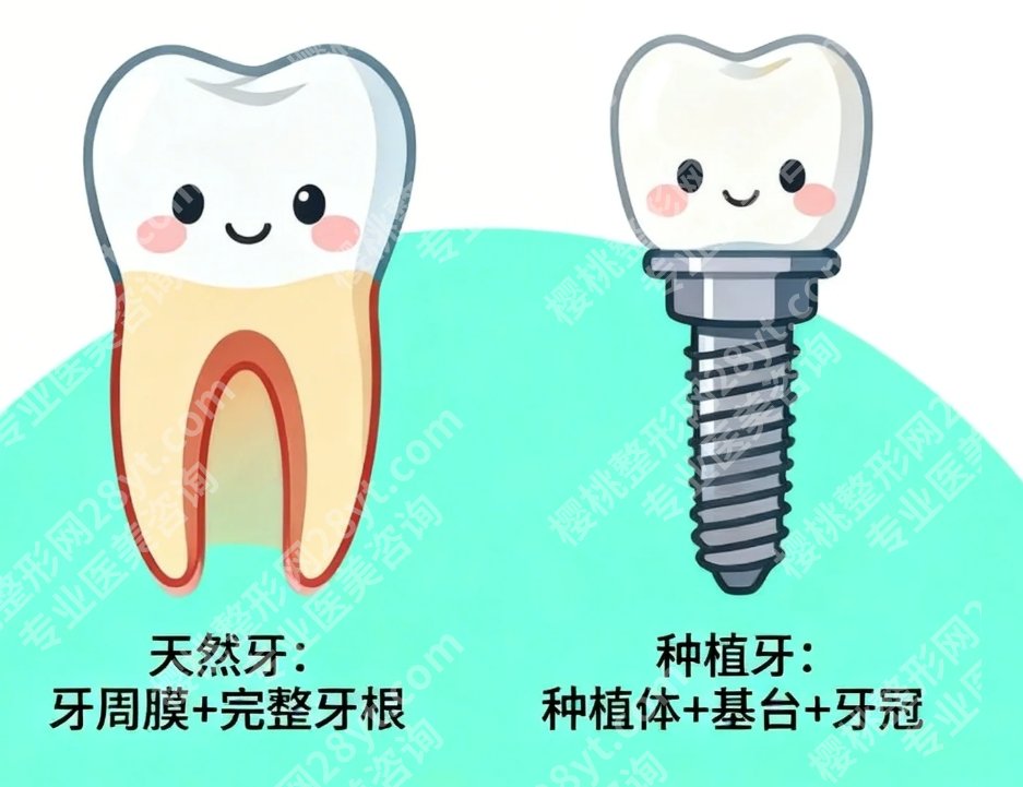 郑州种植口腔医院有哪些比较好?本地实力机构大盘点,种牙选院全攻略