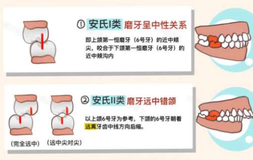 口腔颌面1.jpg 口腔颌面1.jpg