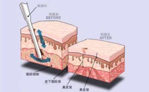vx截图_20230905151033.jpg