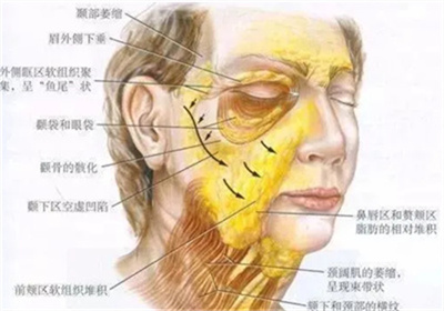 徐海淞九院做拉皮多少钱 ?个人资料公开介绍,注意事项带你了解!