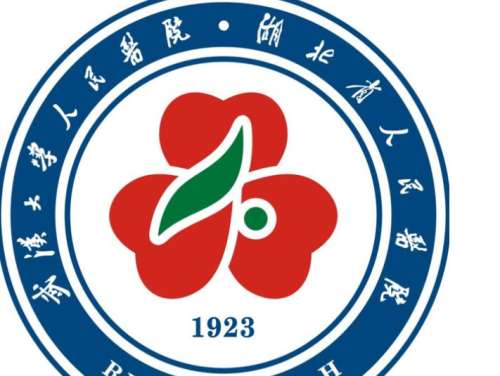 武汉大学人民医院1.jpg