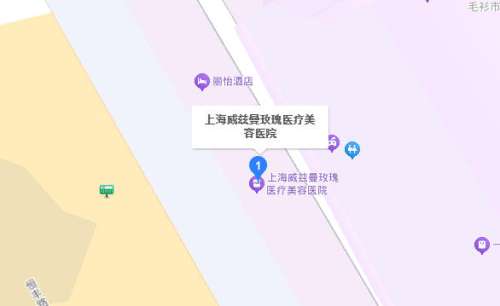 上海威兹曼玫瑰医疗美容医院地址.jpg