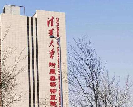 北京垂杨柳.jpg