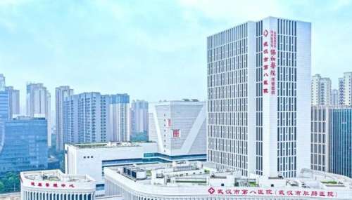 武汉市第八医院.jpg