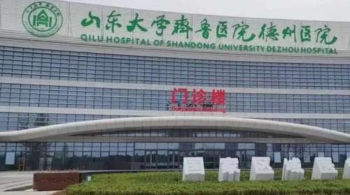 山东大学齐鲁医院德州医院 山东大学齐鲁医院德州医院
