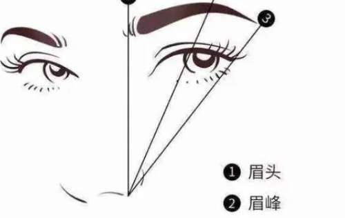 植眉 植眉