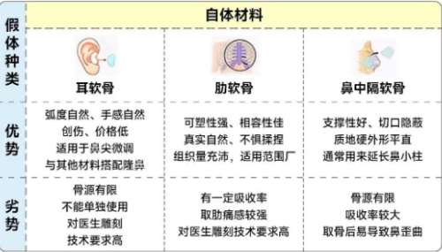 隆鼻 隆鼻