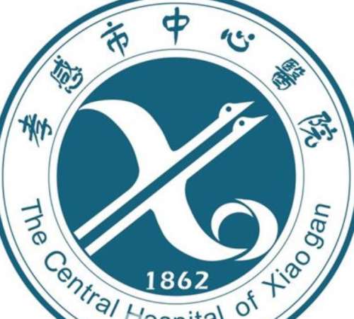 孝感中心医院lo.jpg