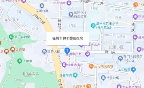 温州和平国际整形医院地址.jpg