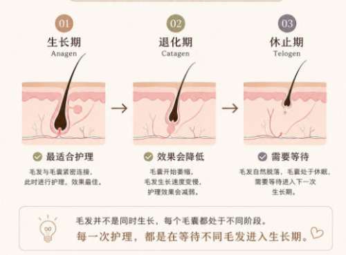 脱毛 .jpg 脱毛 .jpg