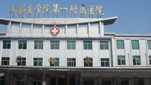 vx截图_20240912193744.jpg