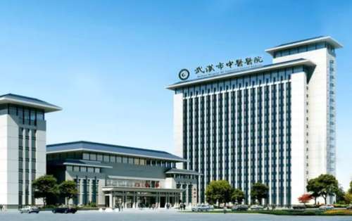 武汉市中医医院.jpg