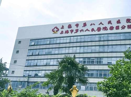 上海市第八人民医院.jpg