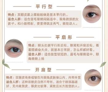 双眼皮
