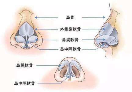 src=http_%2F%2Fp23.yuemei.com%2Fpostimg%2F20210223%2F500_500%2F210223151854_e285c7.jpg&refer=htt