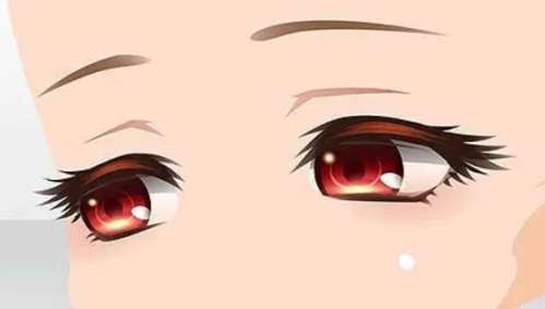 眼睛.jpg
