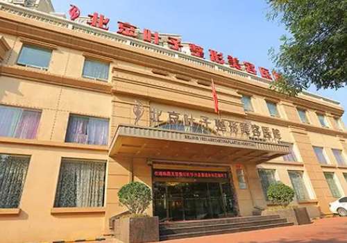 北京叶子.jpg