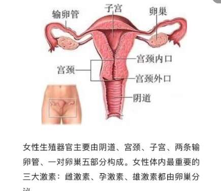 私密整形