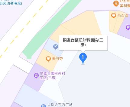 重庆铜雀台地址