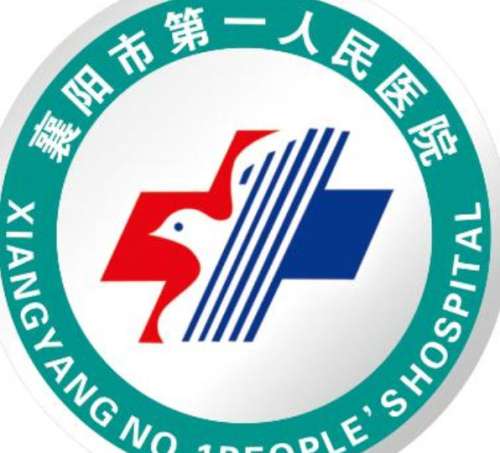 襄阳市第一人民医院lo.jpg