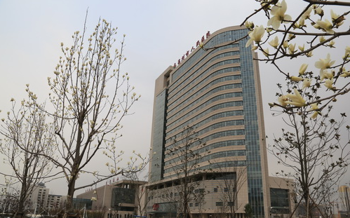 vx截图_20230909133331.png