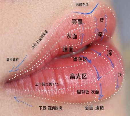 丰唇