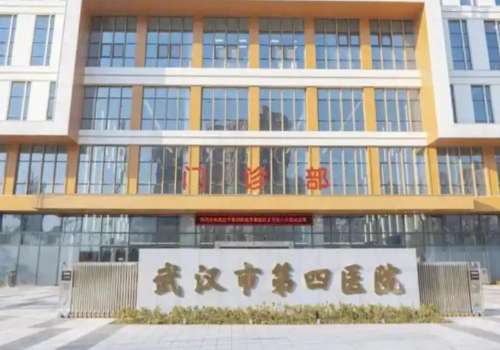武汉市第四医院.jpg