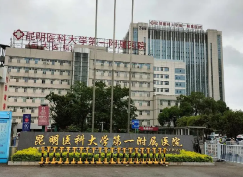 QQ20240806-112935.png