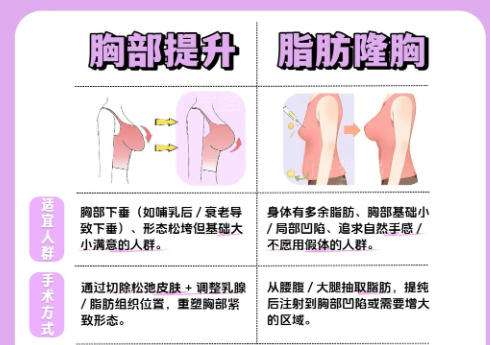 1乳房.jpg