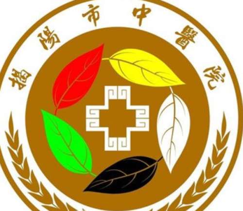 揭阳市中医院lo.jpg