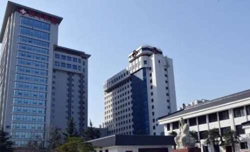 vx截图_20241031190742.jpg