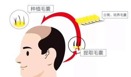 vx截图_20211223175548.jpg