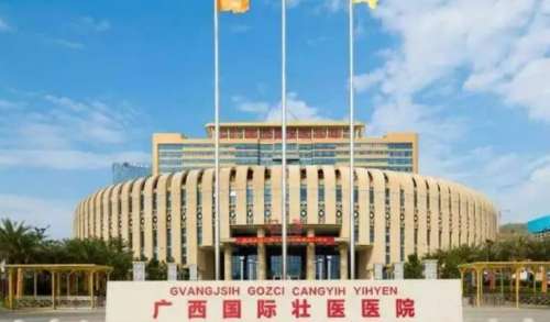 广西国际壮医医院.jpg