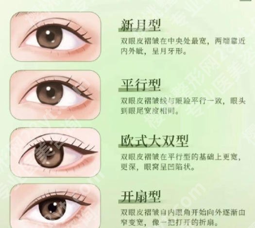 成浩医生个人简历图片分享！擅长项目、面诊技巧公布！