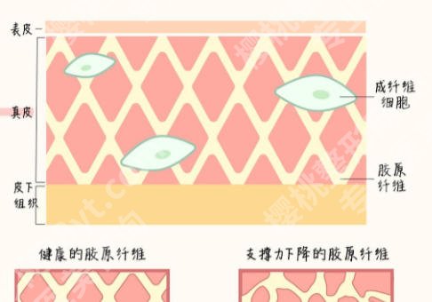 信阳除皱哪家好？附医院详情排名排行名单及2026新价格表一览！