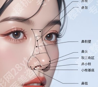 沈绍勇医生隆鼻的效果评价来了！医生信息|擅长项目介绍！