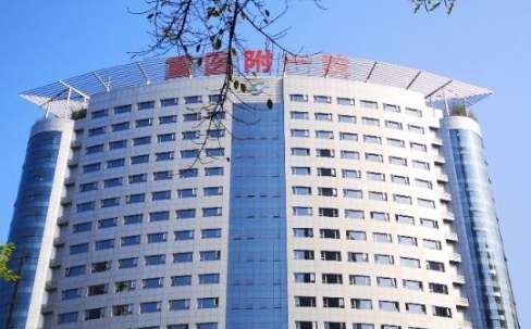 vx截图_20240909235555.jpg