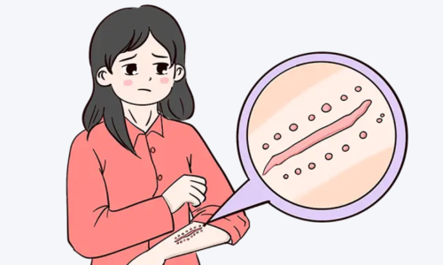 QQ截图20260308014020.png