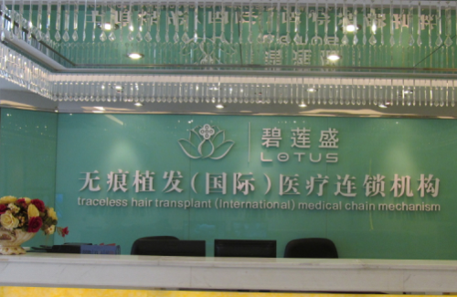 广州碧莲盛植发介绍.png