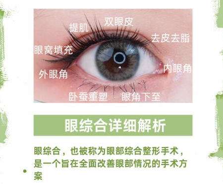眼综合3.jpg