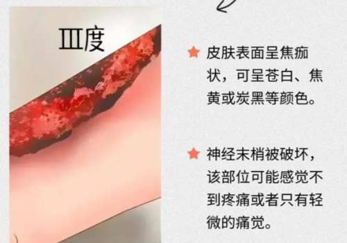 QQ浏览器截图20251029192735.jpg