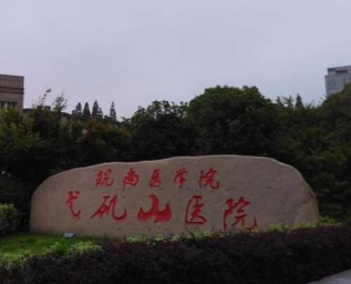 芜湖戈ji山.jpg