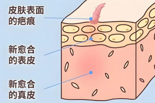 微信截图_20260109170735.png