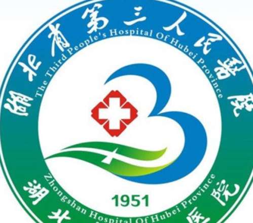 湖北省第三人民医院lo.jpg