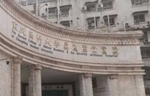 vx截图_20240911220728.jpg